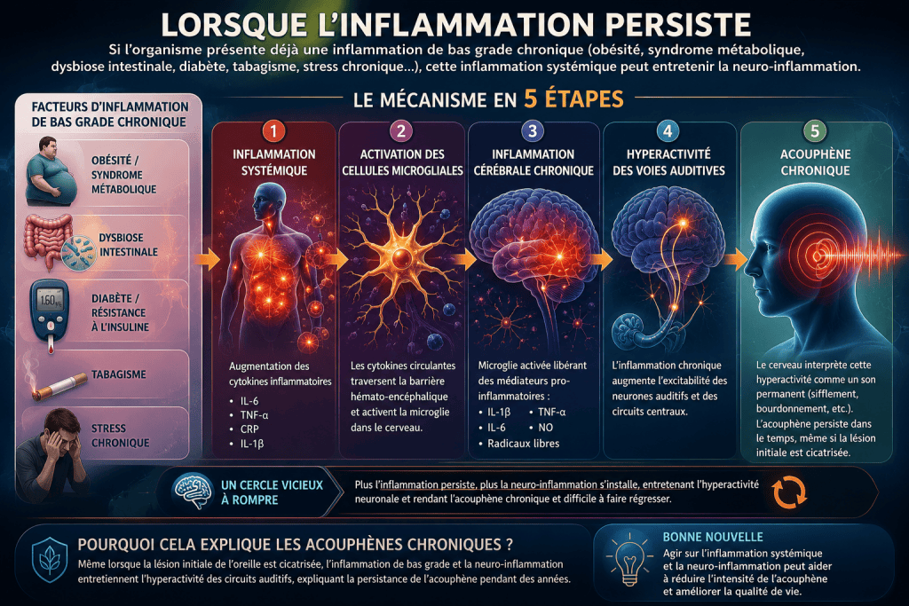 acouphenes chroniques omega 3