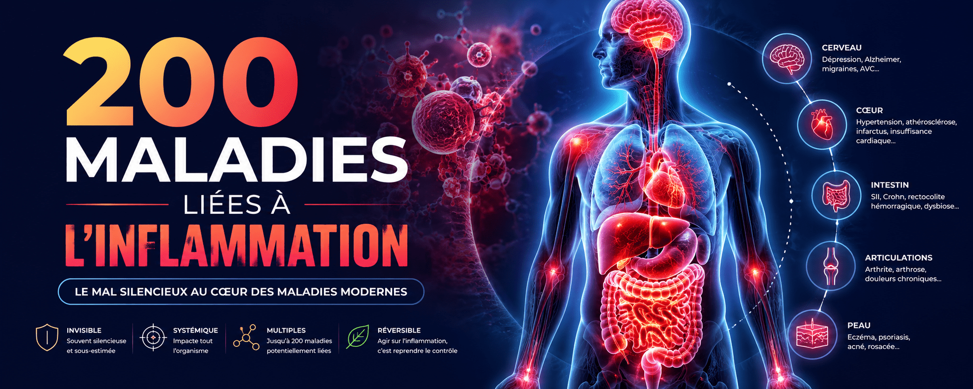 200 maladie liées à l'inflammation de bas grade