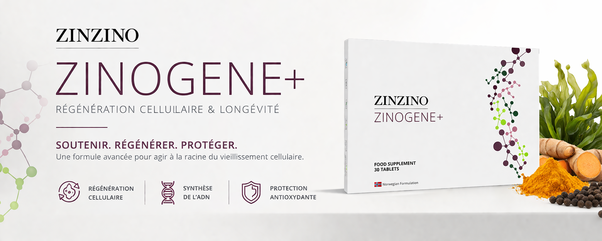 zinogene+ de zinzino