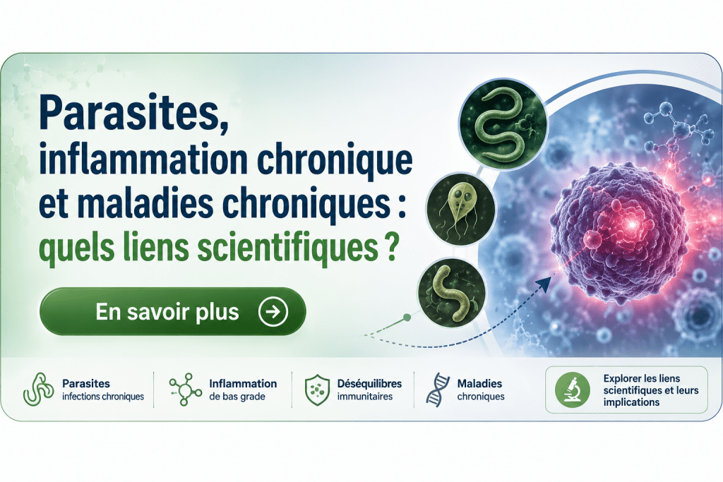 parasite et inflammation en savoir plus