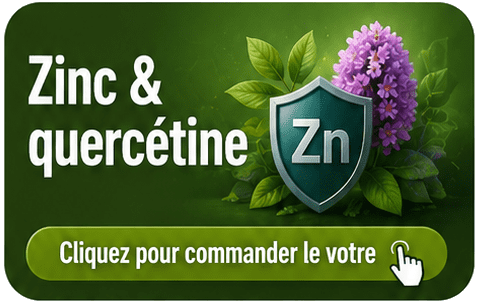 zinc et quercétine