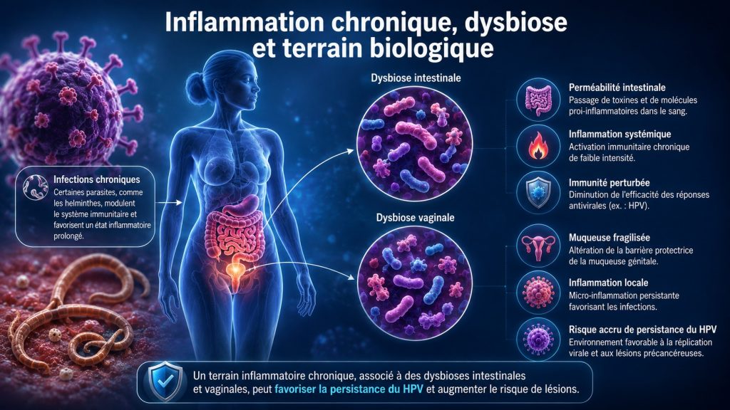 Inflammation chronique, microbiote et terrain biologique